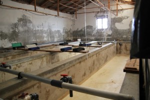IMG_7205_1024x683